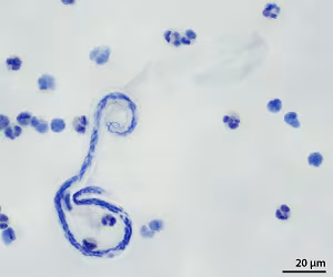 Case502_B Figure B