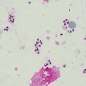 Case505_B Figure B