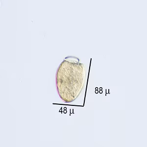 Case501_B Figure B