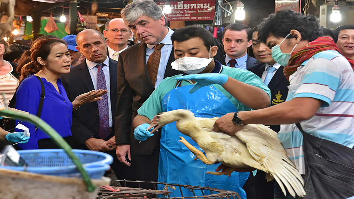 People visiting a live bird market with a man in the foreground holding a chicken People in a huddle around a bird in a live bird market
