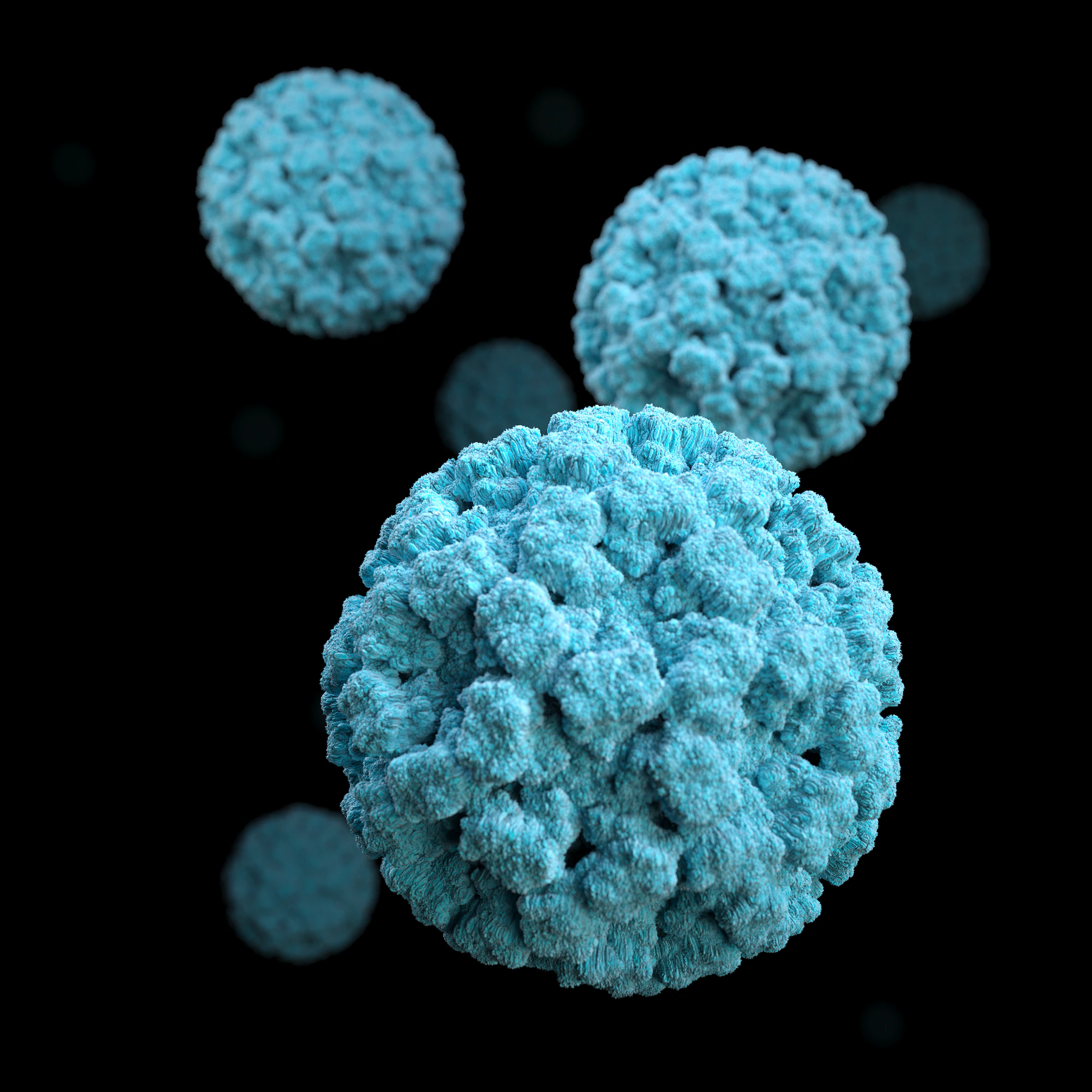 Medical Illustration - Norovirus Norovirus medical illustration