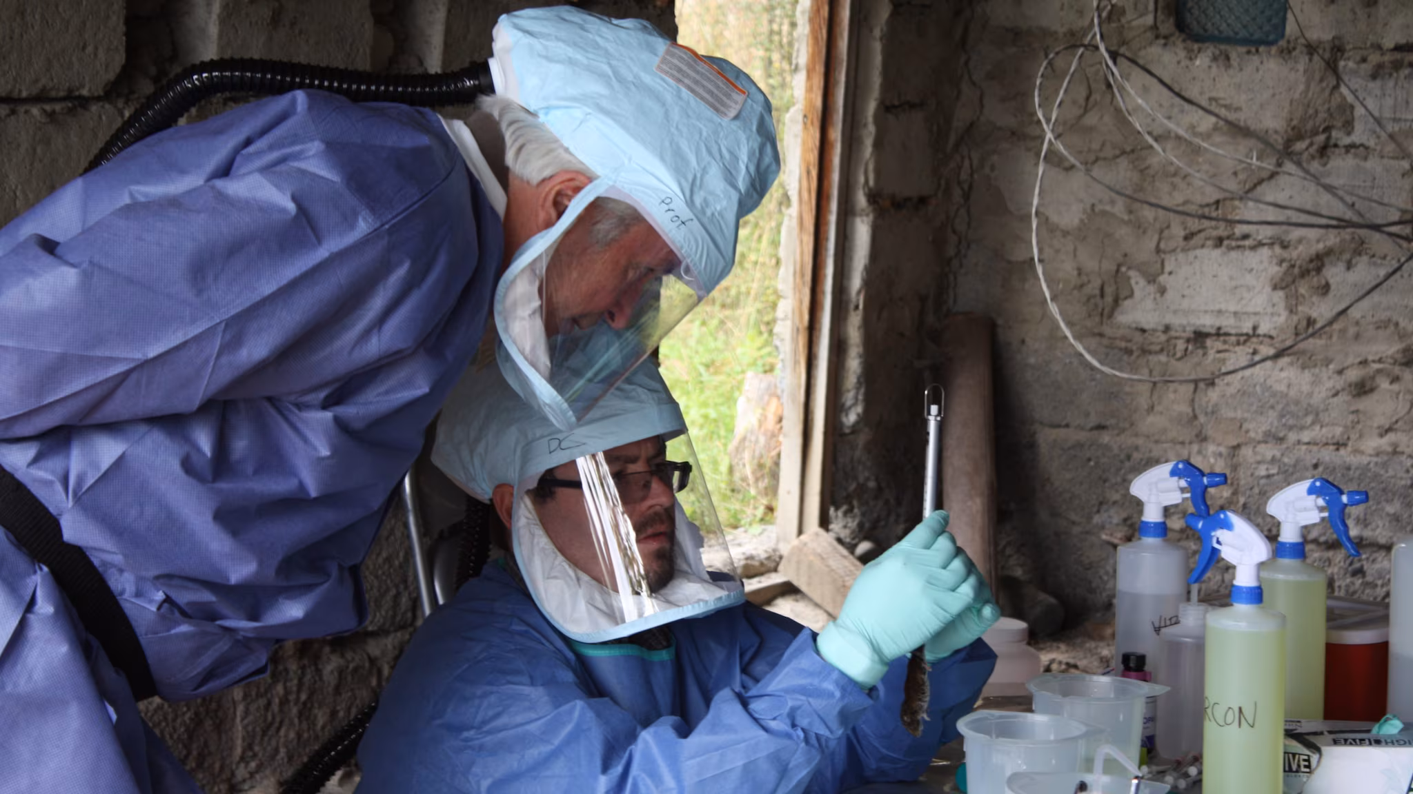 Impact-3 Disease detectives examine a sample wearing PPE.