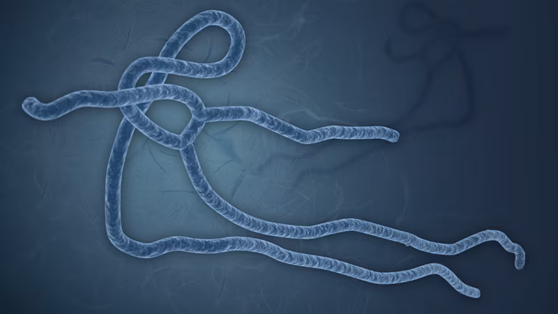 Ebola Virus Illustration of the Ebola virus, showing its long, twisted, structure on a dark background.