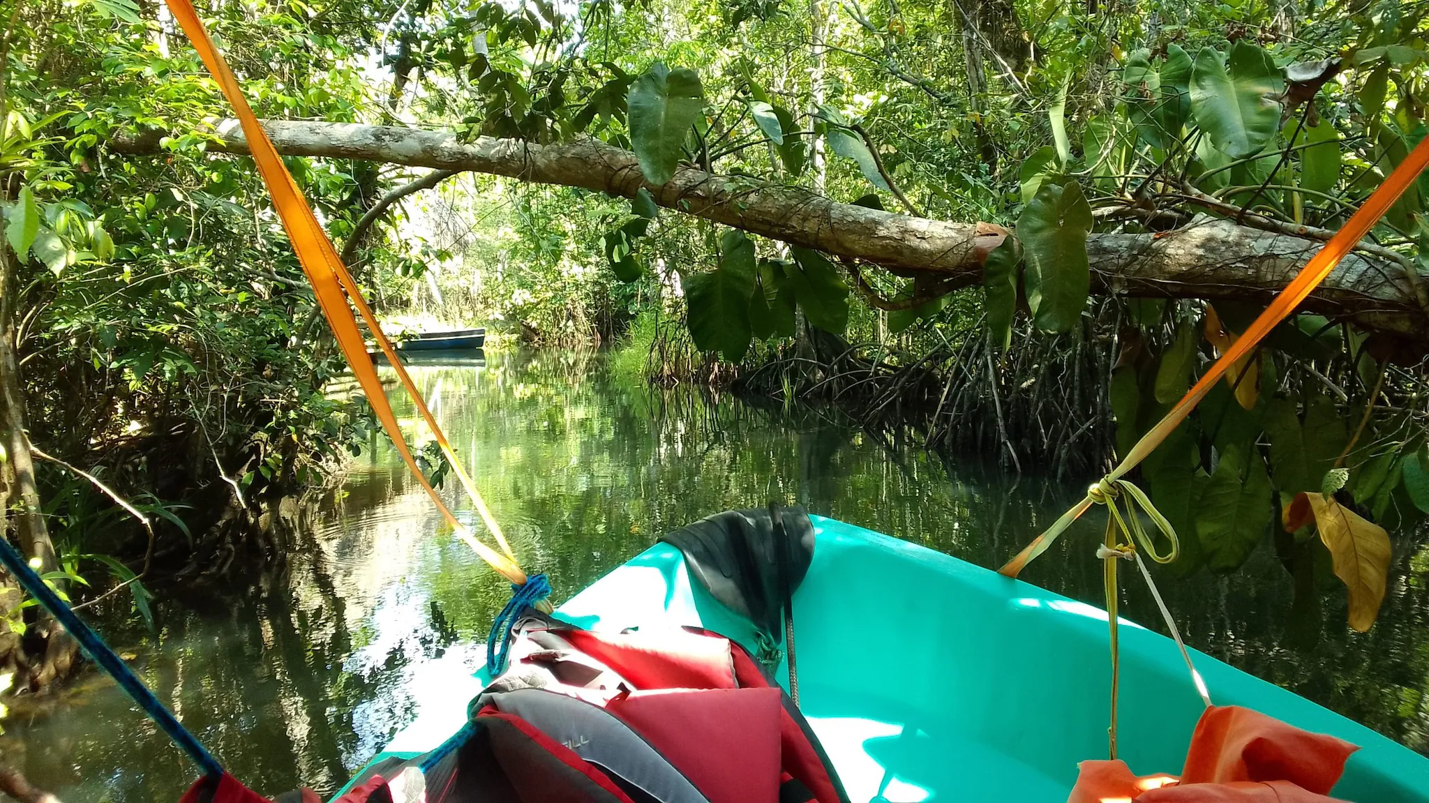 -- title missing -- A small boat travels through a narrow river under a tree limb.