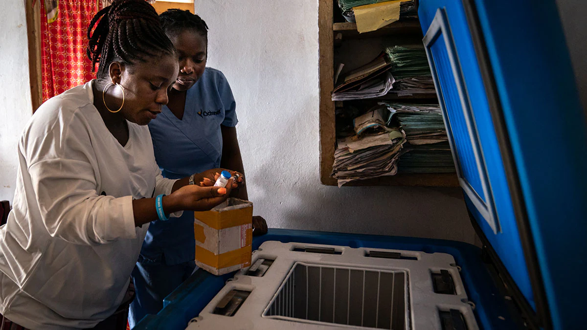 Health care workers checking vaccines in a storage refrigerator in DRC Two health care workers check vaccines in a storage refigerator.