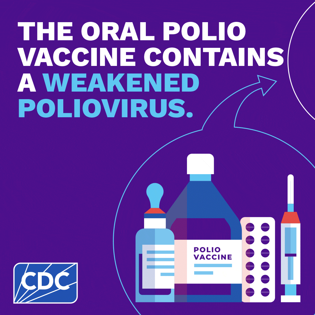 polio-variants-animated-1080-1080 Animated image. Detailed below.
