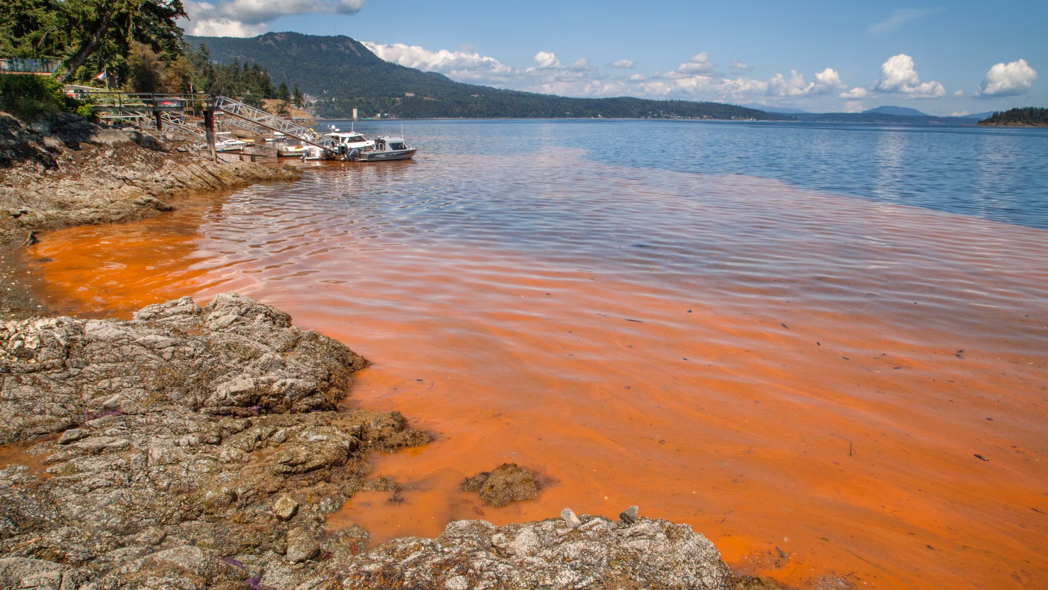 Red-orange water in a bay with a rocky shore