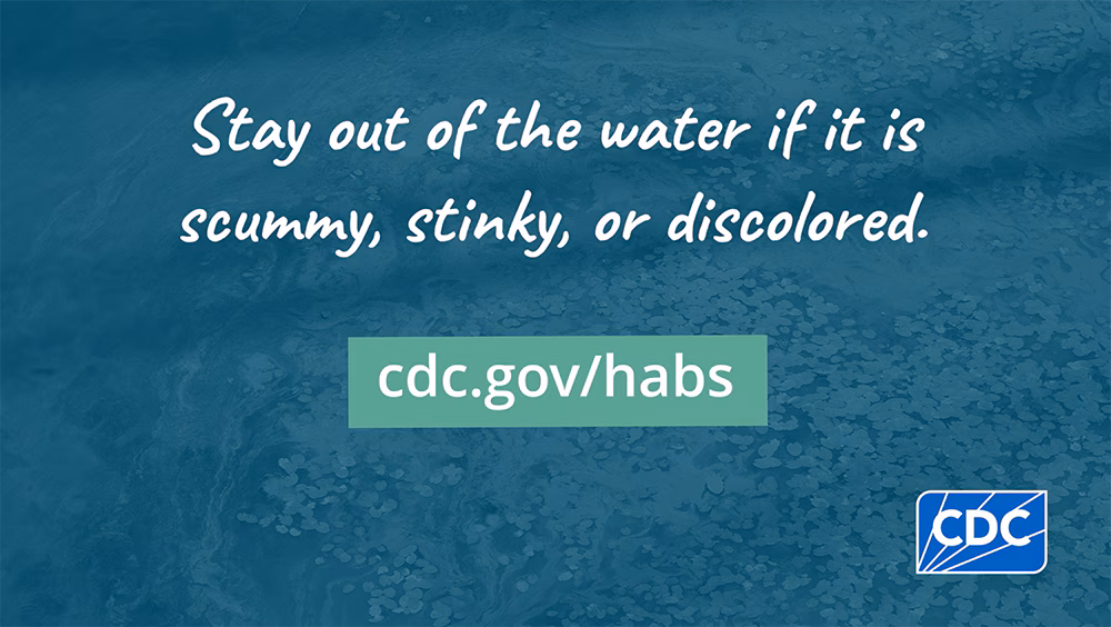 habs-and-health Stay out of the water if it is scummy, stinky, or discolored.