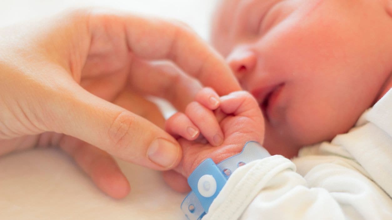 Newborn baby Newborn baby holding hands with adult