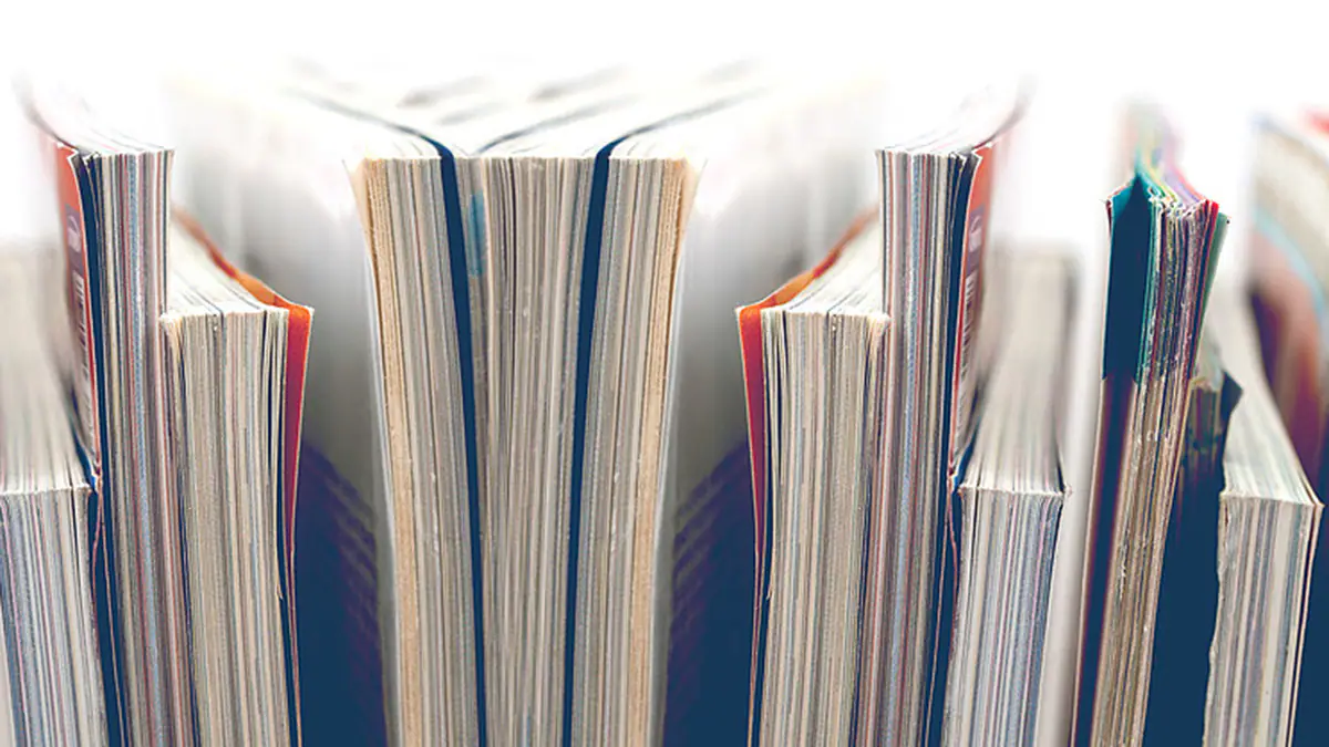 Lupus Publications Row of untitled paperback journals.