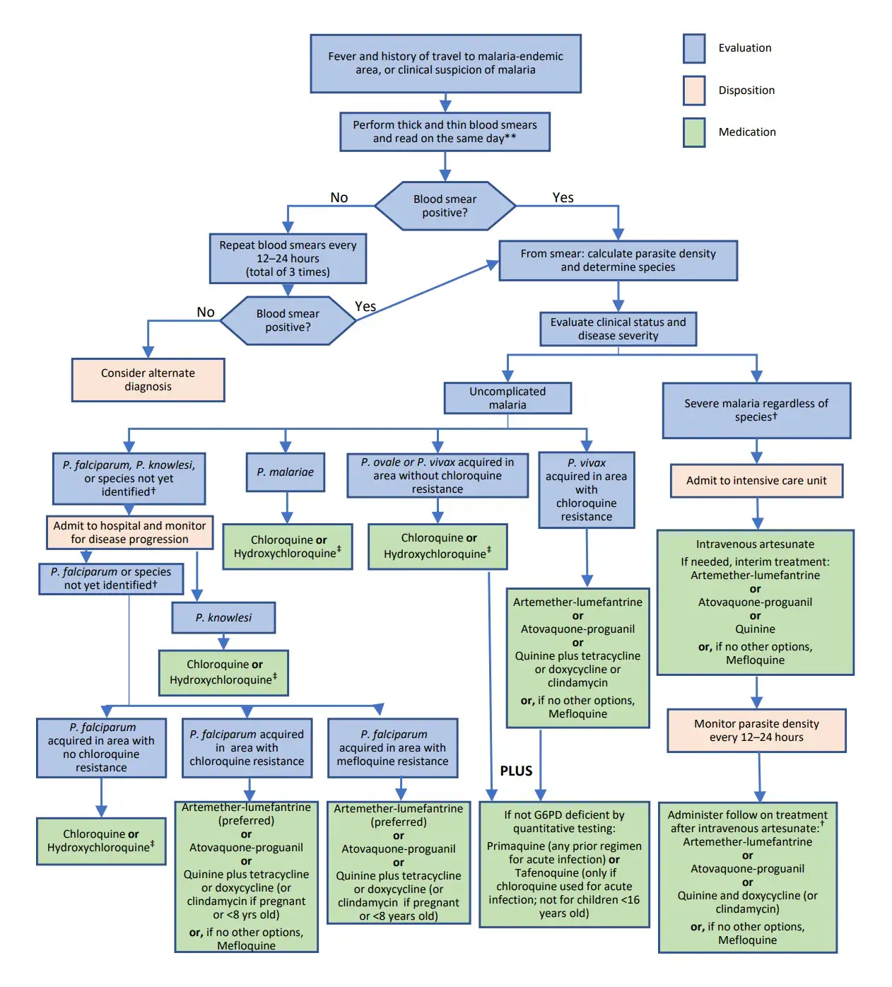 Algorithm for Diagnosis and Treatment of Malaria in the United States