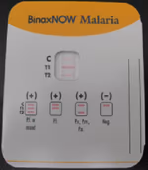 BinaxNow