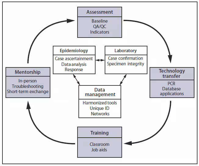 The figure shows the model for meningitis surveillance and capacity-building used in the 'meningitis belt' in Africa. Based on the evaluation findings, recommendations were made to Burkina Faso and Mali to improve epidemiologic and laboratory capacity. Since March 2008 in Burkina Faso and December 2010 in Mali, surveillance has been strengthened through baseline assessments, technology transfer, training, and mentorship.