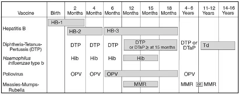 The figure above is a bar chart showing the first harmonized vaccine schedule, the Recommended Childhood Immunization Schedule for the United States, released in January 1995.
