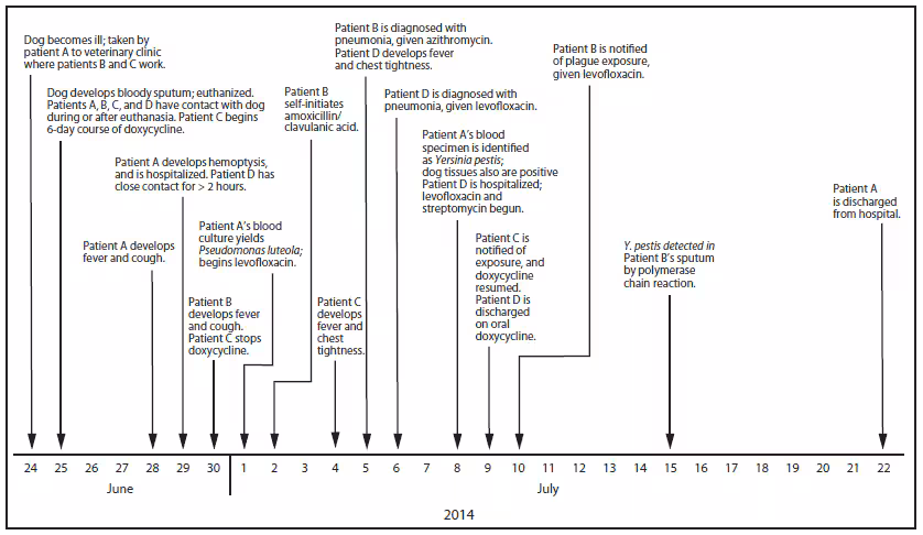 The figure is a timeline of diagnoses and treatment for patients identified in a pneumonic plague outbreak in Colorado during 2014.