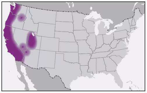 This figure is a map showing the approximate U.S. distribution of Ixodes pacificus (western blacklegged tick).