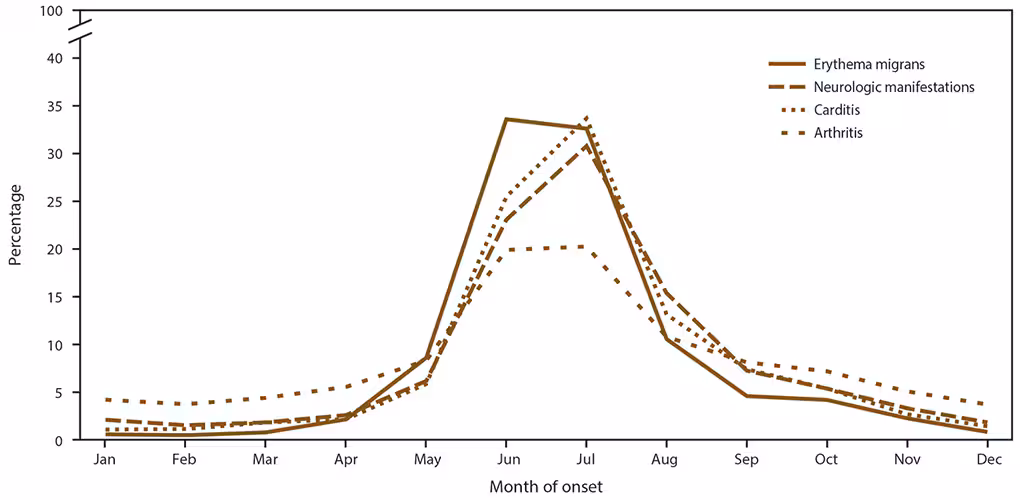 s6622a1f6 Line graph shows the seasonality of erythema migrans, neurologic manifestations, carditis, and arthritis among confirmed cases of Lyme disease by month of onset for the years 2008 to 2015. Each clinical manifestation reaches its peak during the spring and summer months.
