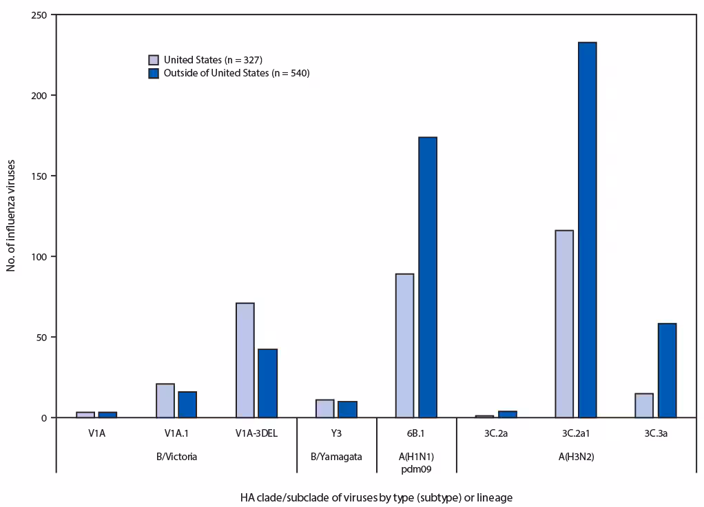 mm6840a3-F2 The figure is a vertical bar chart indicating the genetic characterization of 299 U.S. viruses and 540 viruses from outside the United States collected during May 19–September 28, 2019.