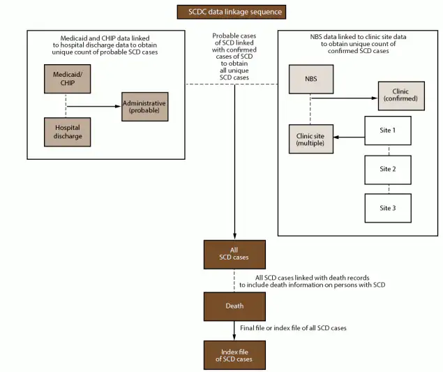 Surveillance for Sickle Cell Disease — Sickle Cell Data Collection Program, Two States, 2004–2018 Figure depicts a flow chart for Sickle Cell Data Collection surveillance data linkage and deduplication process.