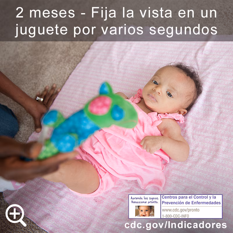 Fija la vista en un juguete por varios segundos