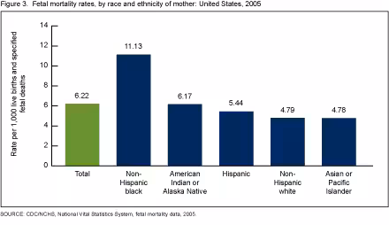 Figure 3 is a bar chart showing fetal mortality rates by race and ethnicity of the mother for 2005.