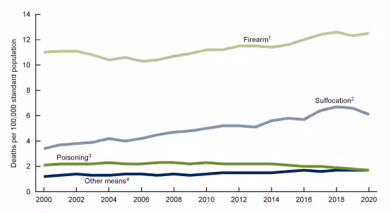 Figure 5 is a line chart of age-adjusted suicide rates for males by means of suicide for the United States for 2000–2020.