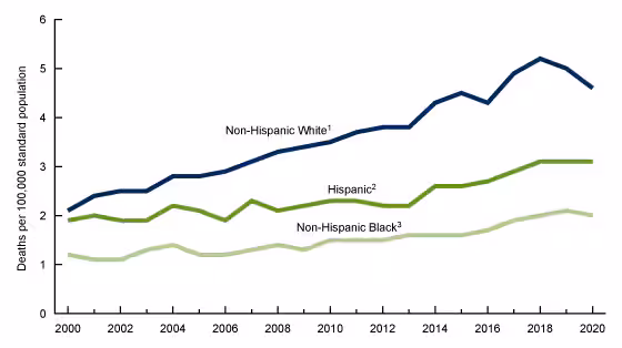 Figure 3 is a line chart showing age-adjusted suffocation suicide death rates for non-Hispanic White, non-Hispanic Black, and Hispanic people in the United States from 2000 through 2020. 
