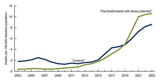 Figure 5 is a line chart showing the age-adjusted rate of drug overdose deaths involving stimulants by type of stimulant in the United States from 2003 to 2023. 