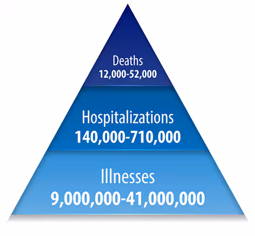 Flu Burden Triangle Number of deaths, hospitalizations, and deaths due to the flu activity.