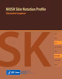 2019-129 Cover page of Publication 2019-119