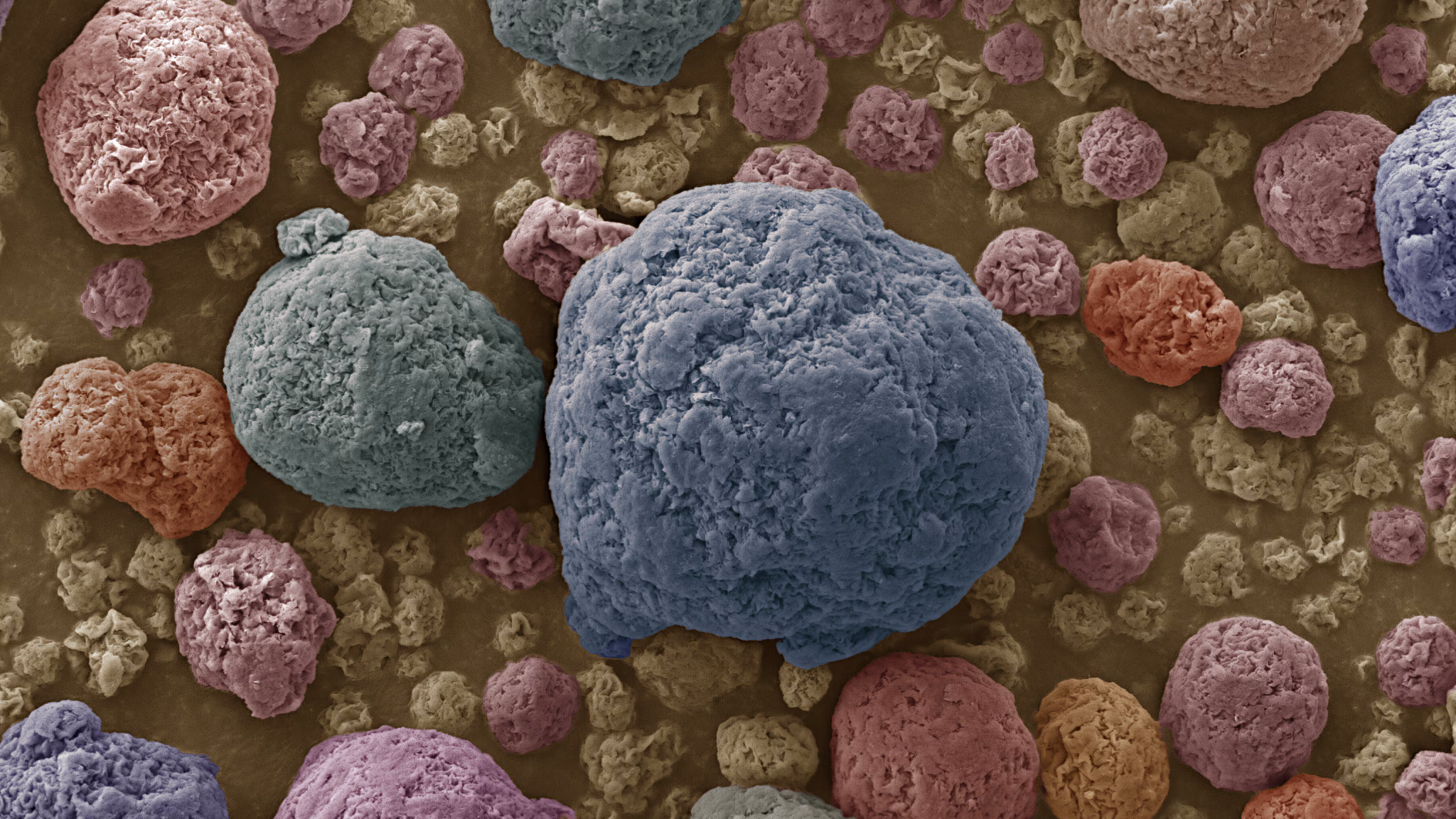 DD Image nanoclay particles nanoclay particles