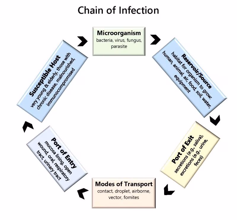 Chain of Infection Chain of Infection graphic