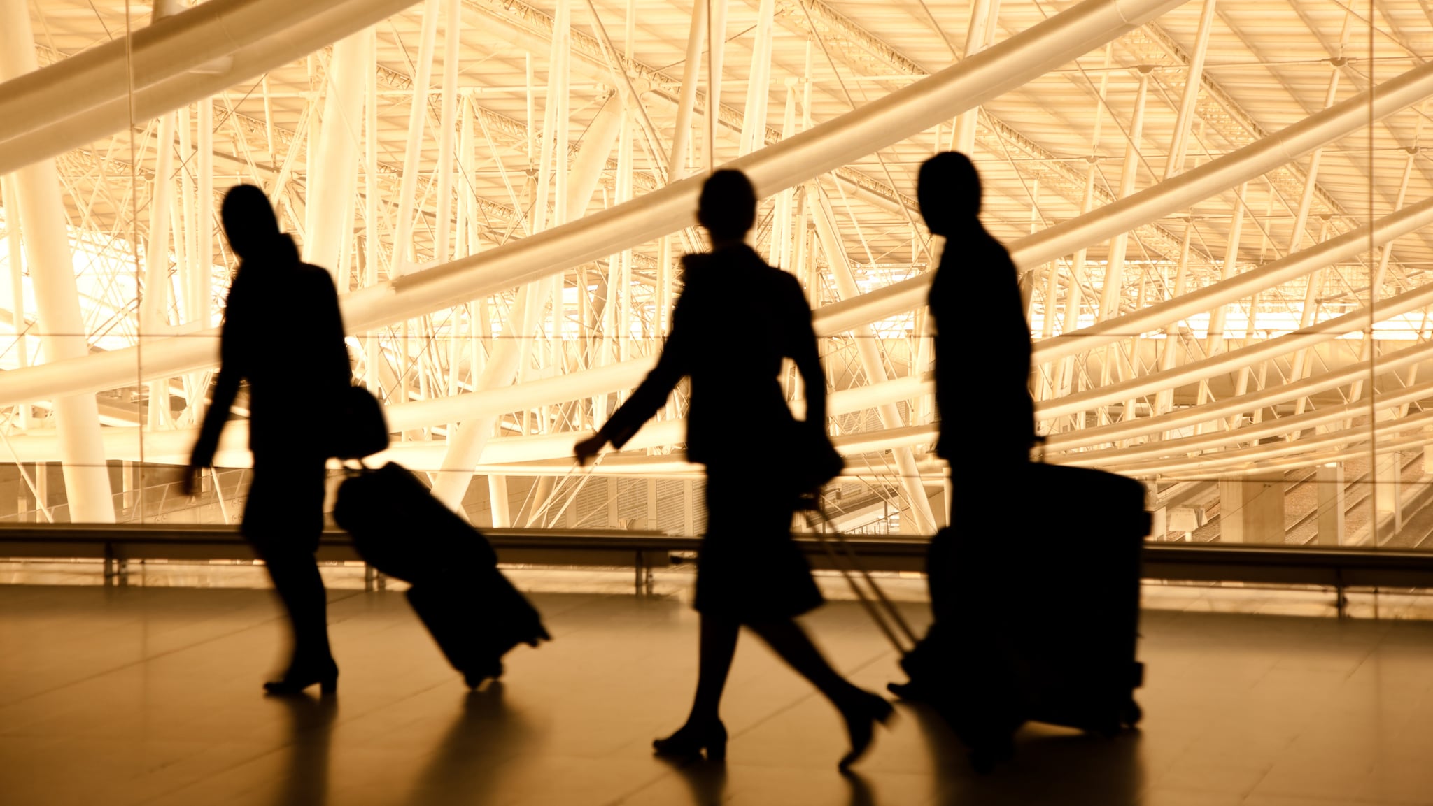 182165773 Aircrew members carrying luggage between flights