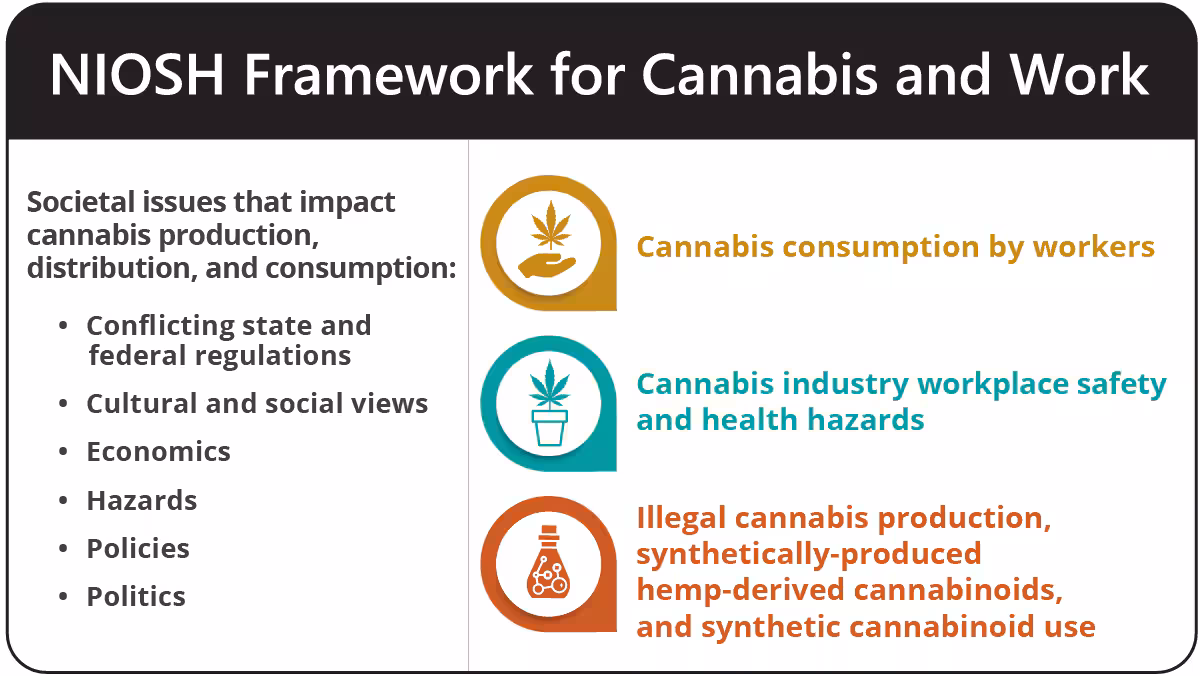 NIOSH framework for cannabis Infographic listing societal issues that impact cannabis production and use, and the related workplace areas of concern.