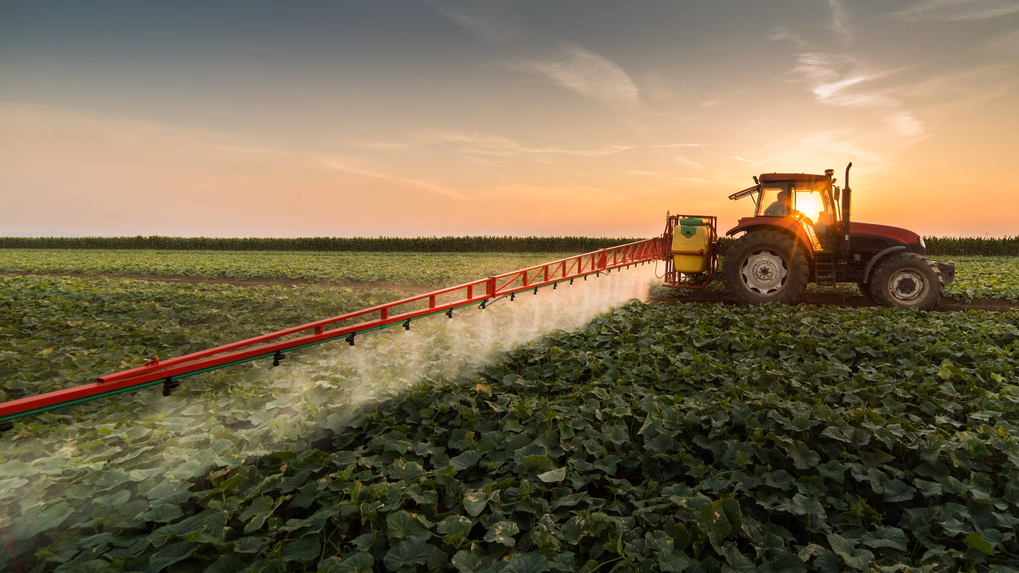 pesticides spraying Pesticides being sprayed on a field. Image by Getty Images.