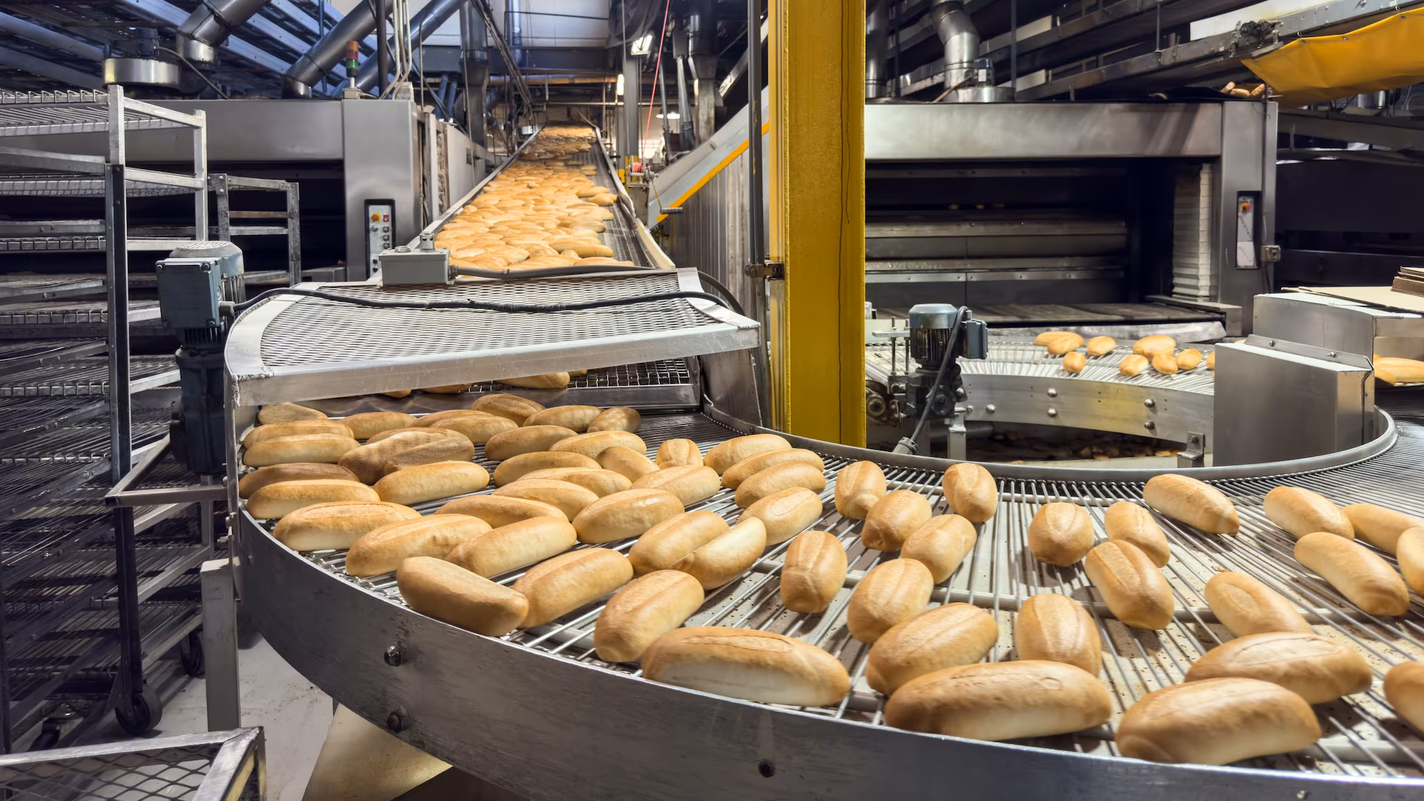 Manufacturing facility.