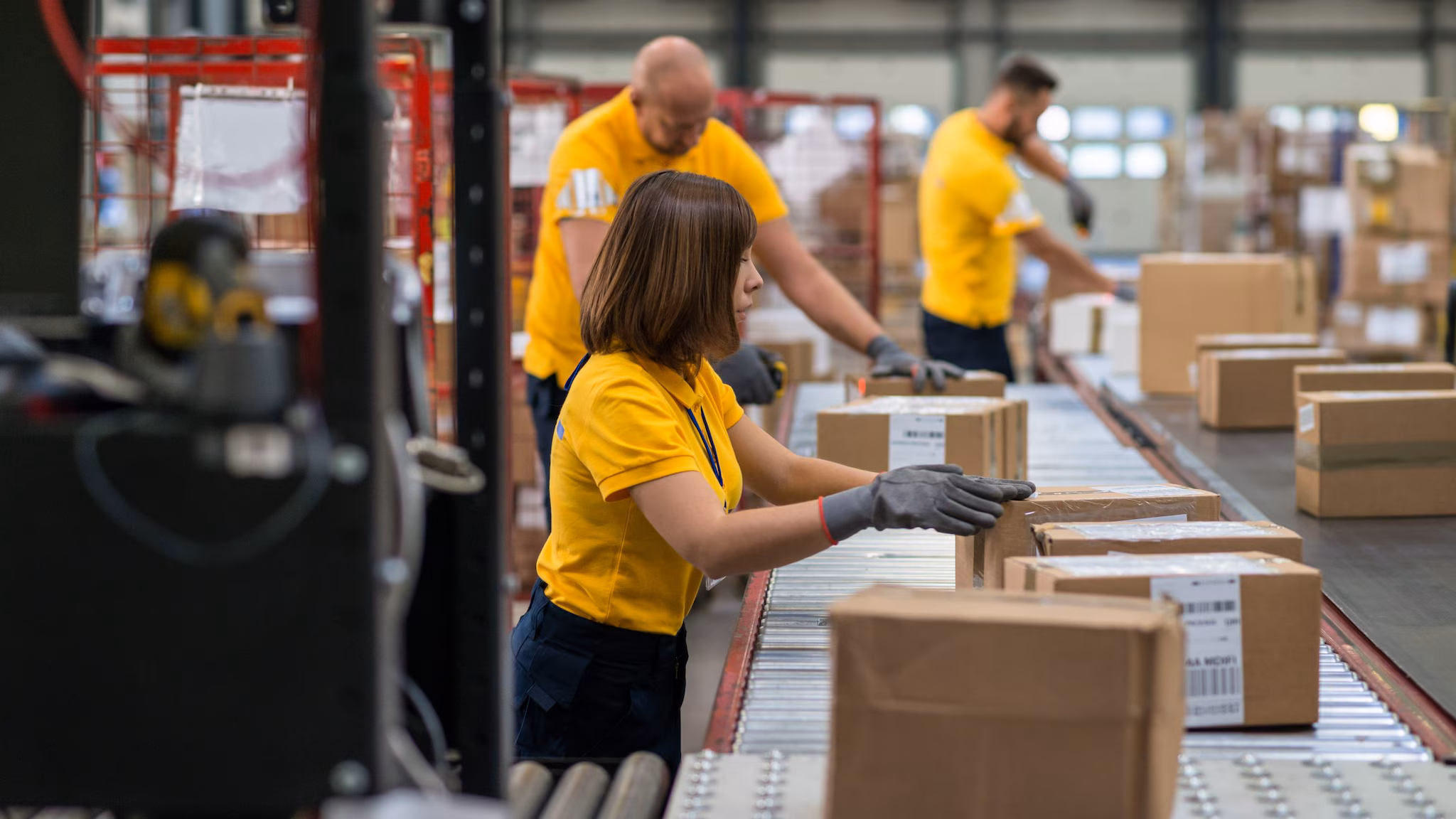 Workers scanning and checking boxes