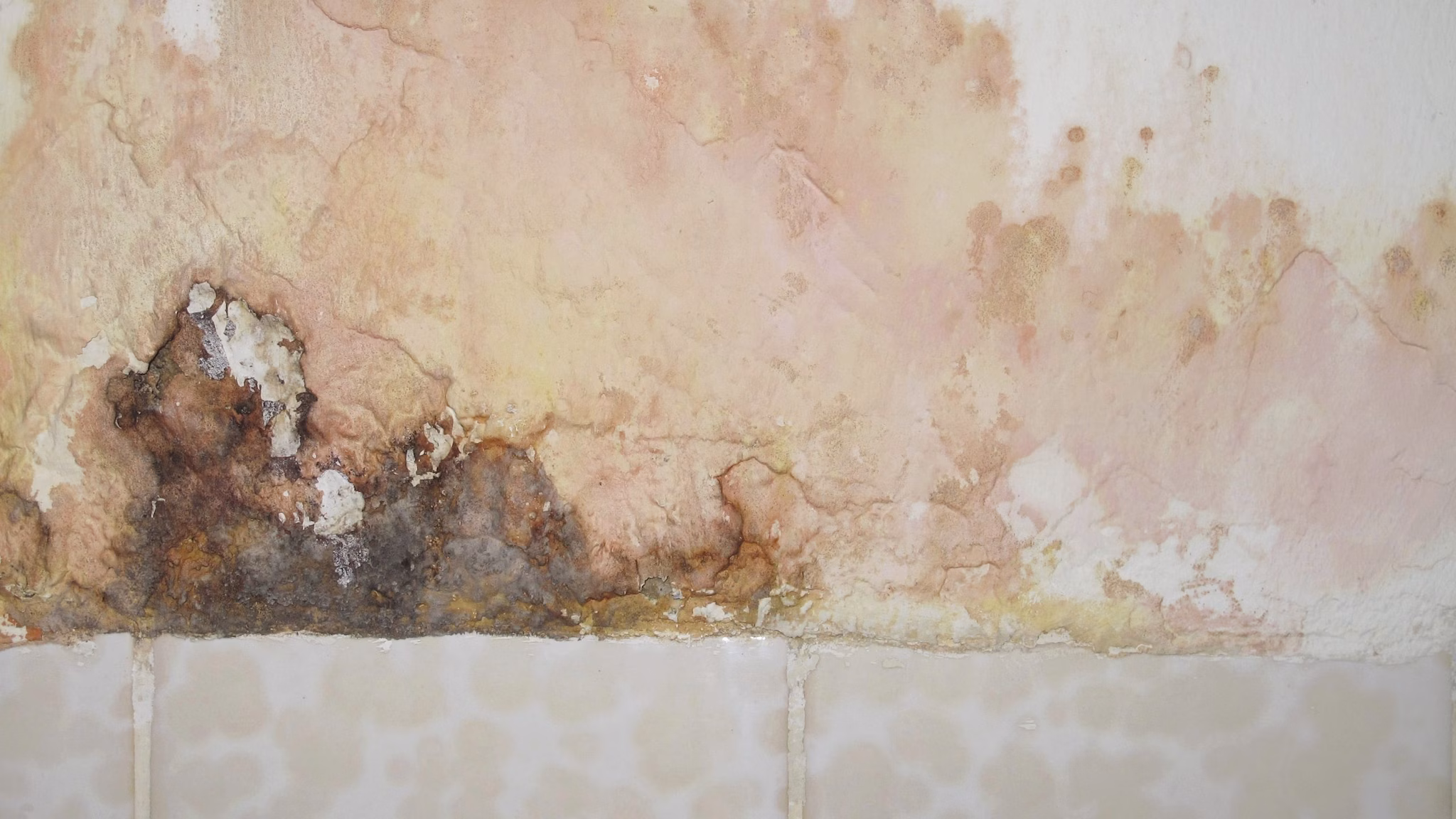 Mold on wall Water damage along a wall.