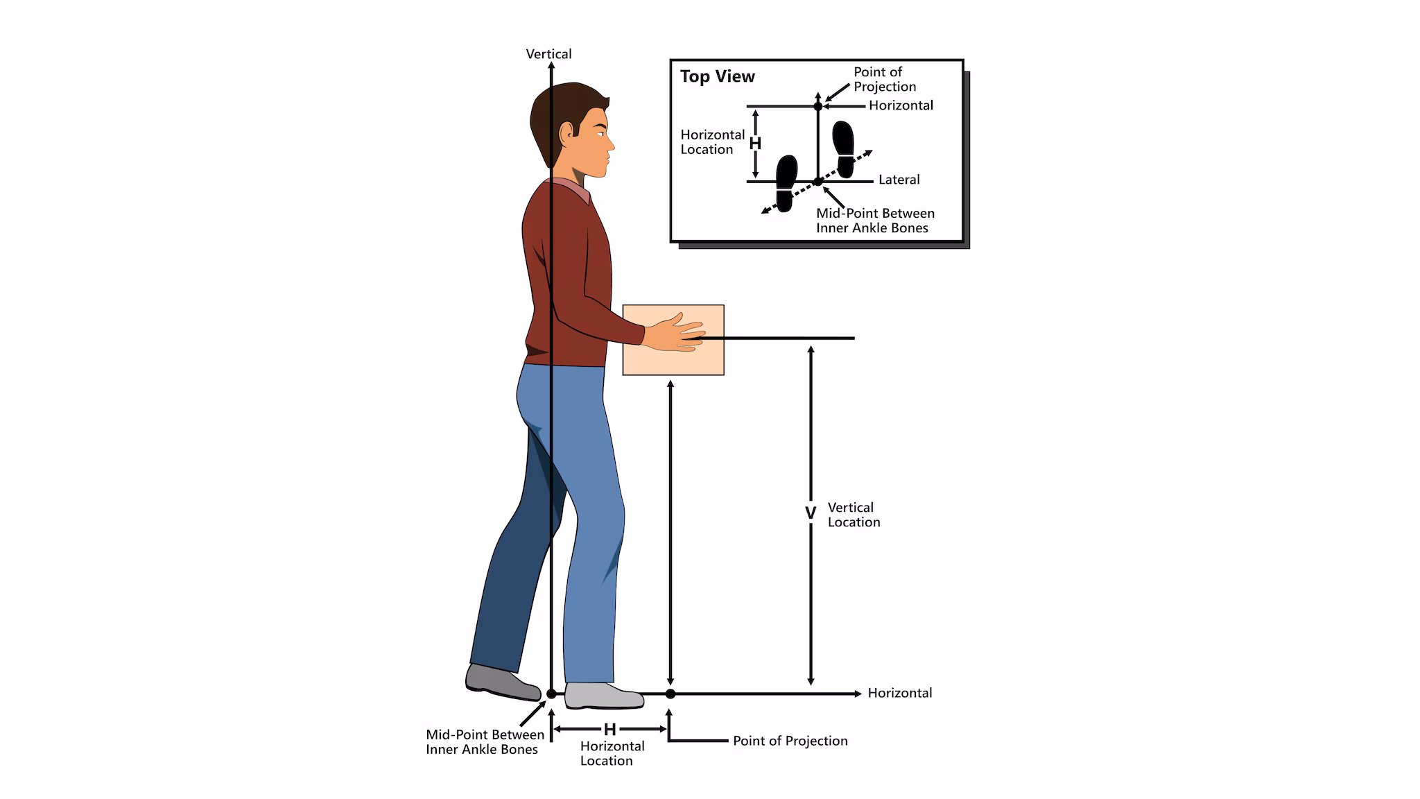 RNLE Figure Landscape An illustration of a man using the revised NIOSH lifting equation to safely lift a cardboard box.