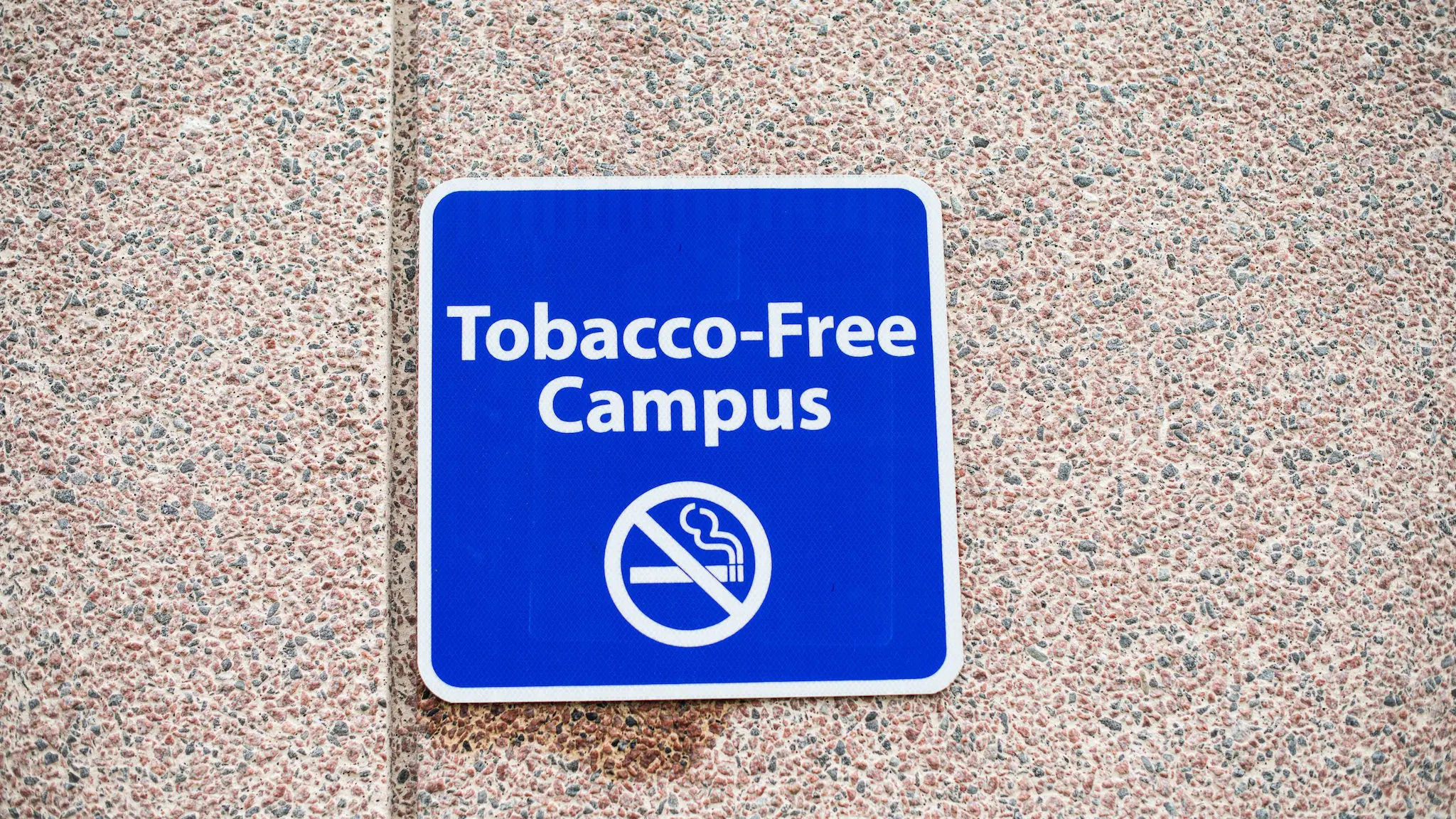 — title missing — A tobacco-free campus sign hanging on a stone wall.