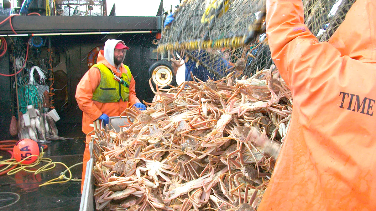 — title missing — Commercial fishermen hauling a crab pot on deck in the Bering Sea. Photo by Johnathan Hillstrand