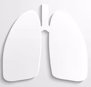 white paper lungs white paper cut out in the shape of a pair of lungs
