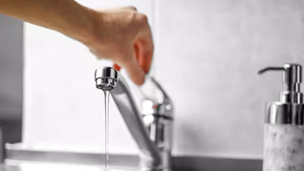 tap water