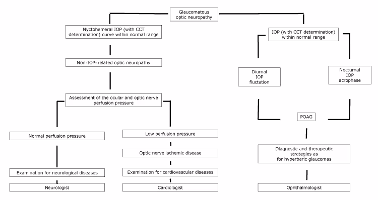 18_0534_01 Proposed flowchart of optic neuropathy, with specialist referral, according to the nychthemeral IOP characteristics. Abbreviations: CCT, central corneal thickness; IOP, intraocular pressure; POAG, primary open-angle glaucoma.