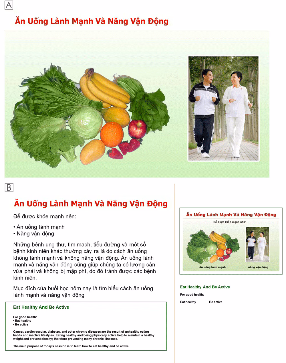 19_0353_01 Culturally and linguistically appropriate educational materials developed for delivery by lay health workers to Vietnamese Americans aged 50 to 74 in an intervention designed to increase healthy eating and physical activity, Santa Clara County, California, 2008–2013. A, Participant-facing page of a flip chart. B, Lay health worker–facing page.