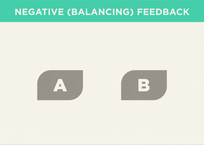 6B Negative Feedback Animation of negative feedback loop from A to B and B back to A