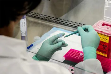 22910 A scientist using a disposable biopsy punch, expelling the punches into a buffer, inside a biological safety cabinet (BSC).