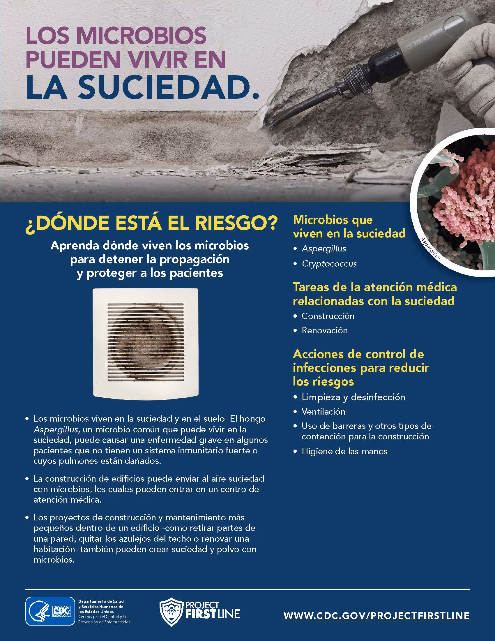 Los microbios pueden vivir en la suciedad