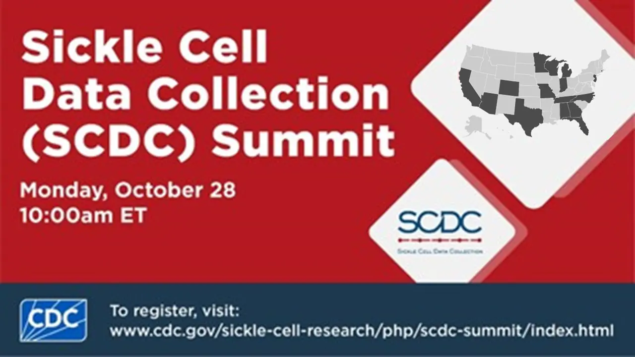 SCDC Summit 2024 registration poster for SCDC Summit 2024