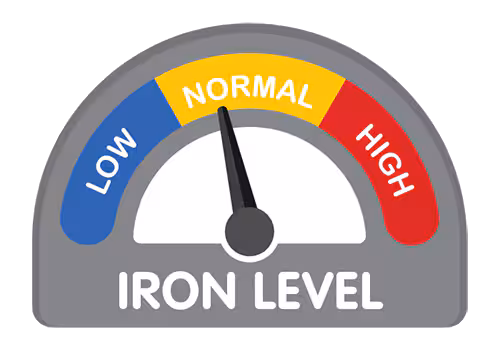 — title missing — Illustration of a concept gauge showing iron levels: low, normal and high.